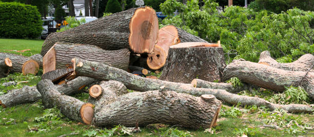 Mulching Services in Campbellsburg, KY